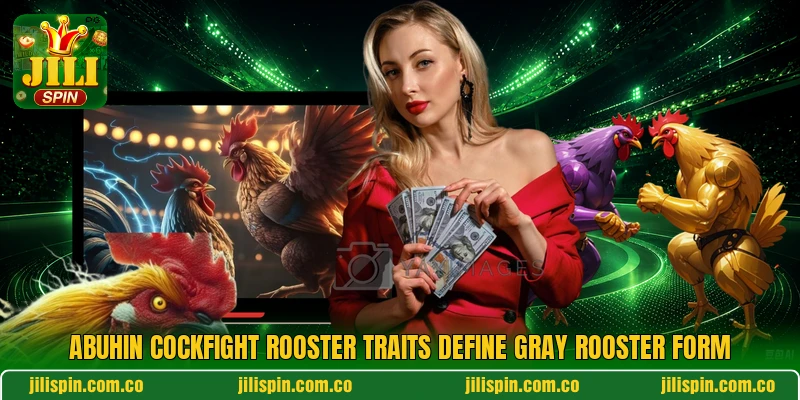 Abuhin cockfight rooster traits define gray rooster form Abuhin cockfight rooster traits define gray rooster form