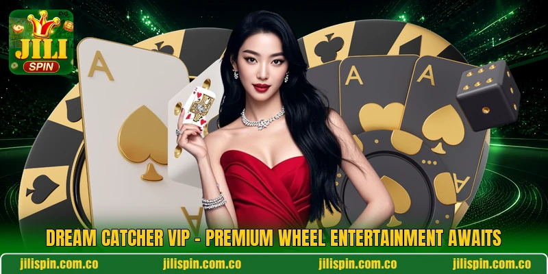Dream Catcher VIP - Premium Wheel Entertainment Awaits