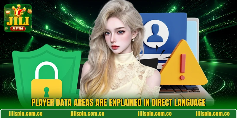 Player data areas are explained in direct language Player data areas are explained in direct language