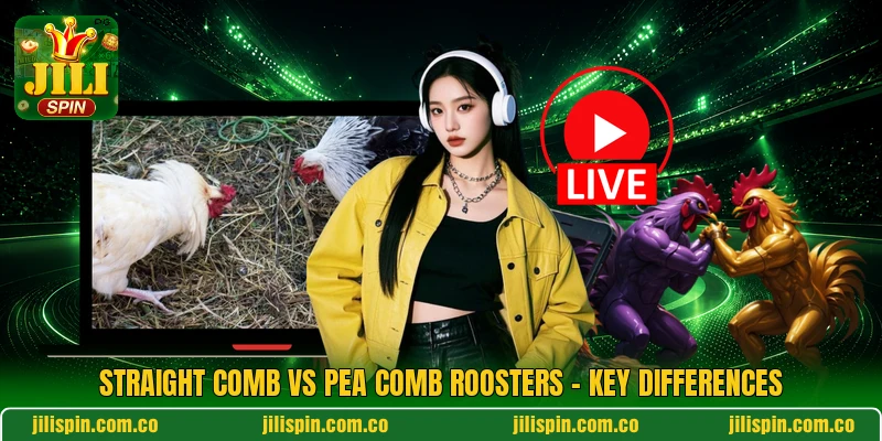 Straight Comb Vs Pea Comb Roosters - Key Differences