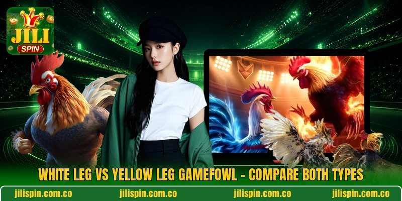 White Leg Vs Yellow Leg Gamefowl - Compare Both Types